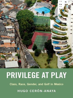 cover image of Privilege at Play